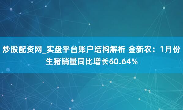 炒股配资网_实盘平台账户结构解析 金新农：1月份生猪销量同比增长60.64%