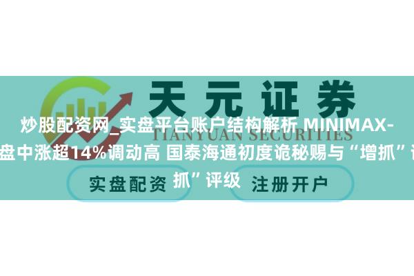 炒股配资网_实盘平台账户结构解析 MINIMAX-WP盘中涨超14%调动高 国泰海通初度诡秘赐与“增抓”评级