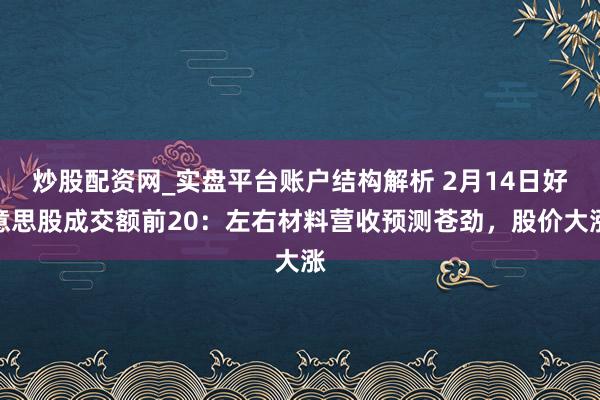 炒股配资网_实盘平台账户结构解析 2月14日好意思股成交额前20：左右材料营收预测苍劲，股价大涨