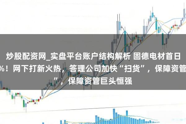 炒股配资网_实盘平台账户结构解析 固德电材首日暴涨118%！网下打新火热，答理公司加快“扫货”，保障资管巨头恒强