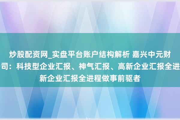炒股配资网_实盘平台账户结构解析 嘉兴中元财税磋商有限公司：科技型企业汇报、神气汇报、高新企业汇报全进程做事前驱者